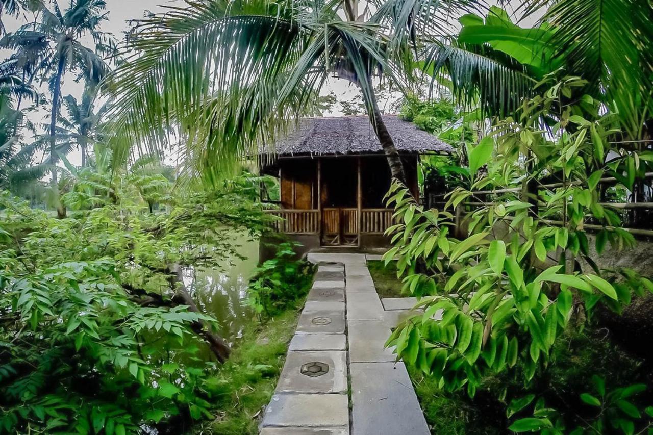 ホテル Baleku Bamboo Retreat パンガンダラン エクステリア 写真