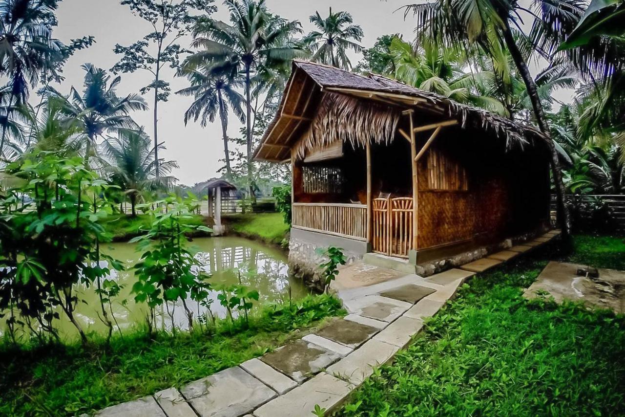 ホテル Baleku Bamboo Retreat パンガンダラン エクステリア 写真